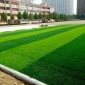 厂家学校运动场草坪足球场人造草坪免充砂 四川攀枝花捷源达仿真草皮可施工定制